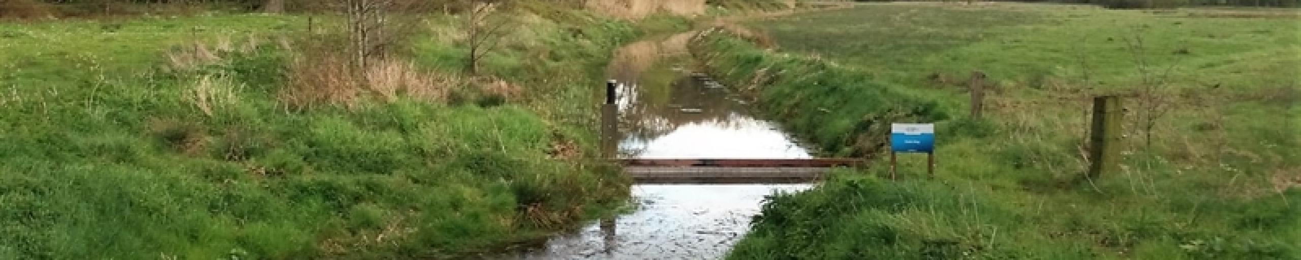 2017-04-26-Oude Diep WDODelta (2)
