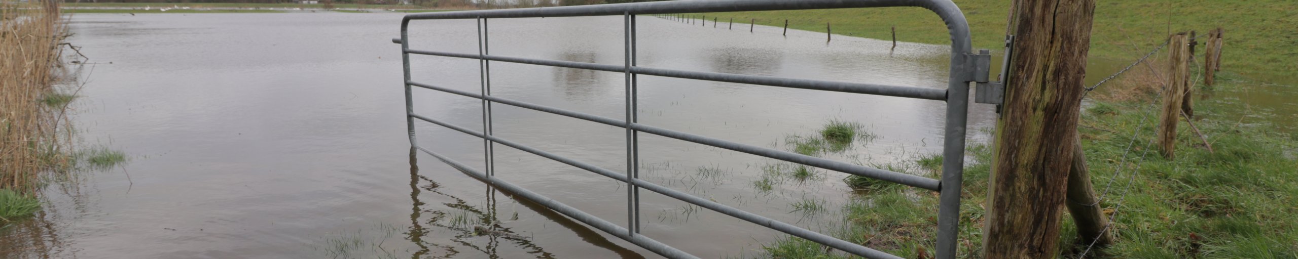 Vechtdijk bij Berkum