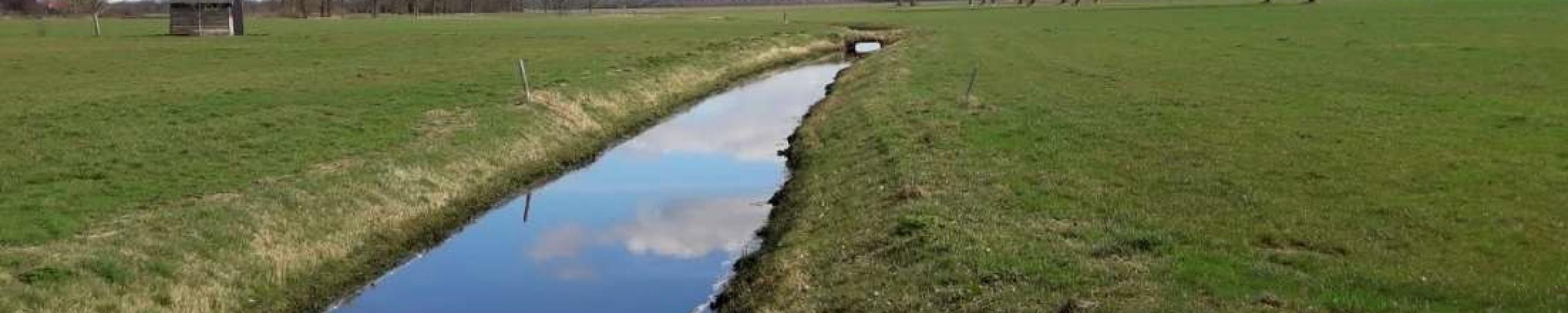 Boerenveensche Plassen