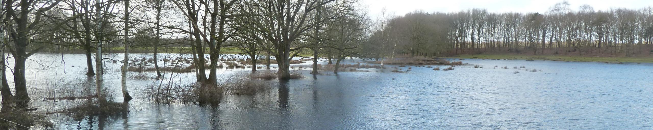 Dwingelderveld stuw en waterberging
