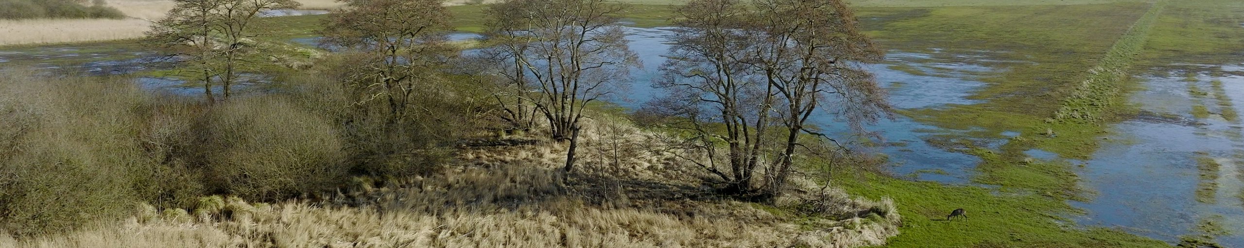dronefoto van het gebied Vledders en Leijerhooilanden