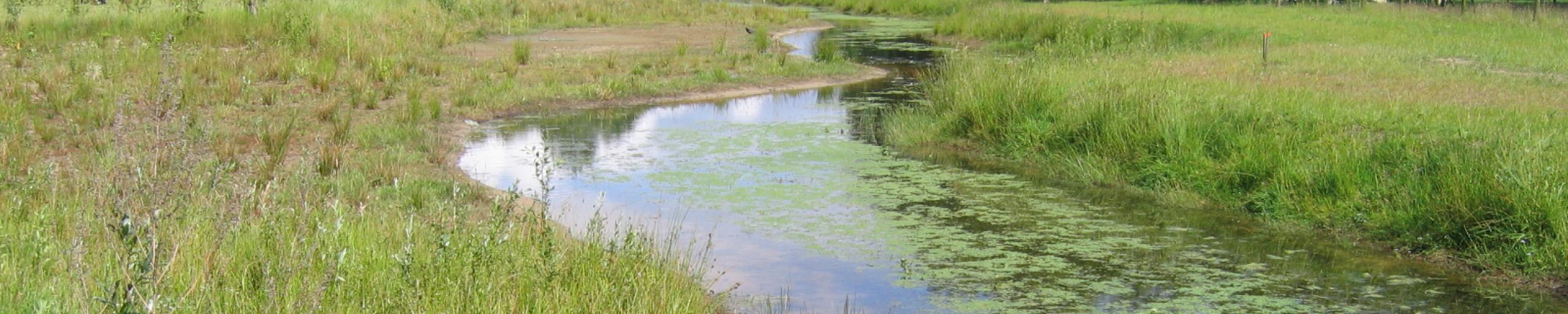 Herinrichting Spoortippe en Punthorst