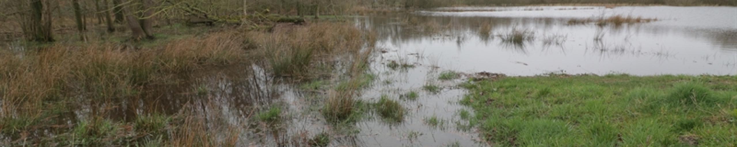Foto Volgelopen waterberging engelgaarde