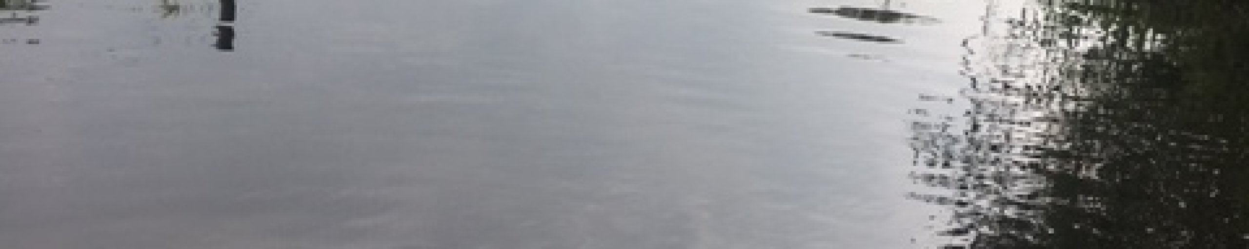 Voldoende water door wateraanvoer.