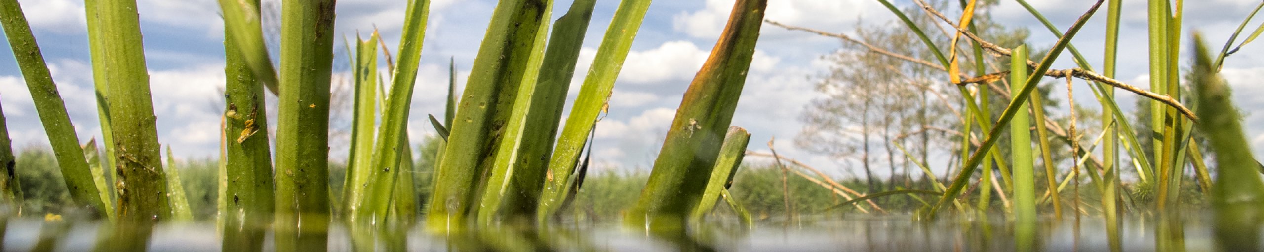 Doel is beperken van verdroging van de natuur