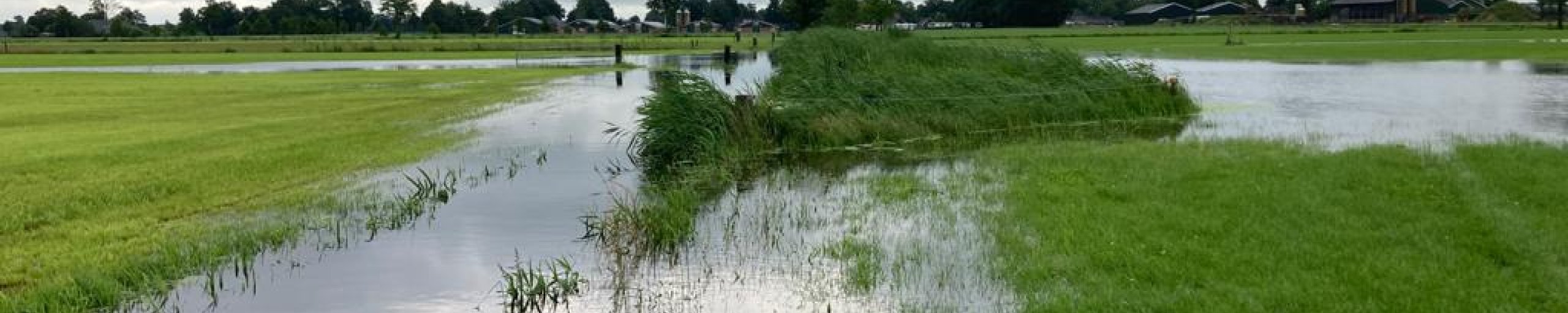 Bomvolle waterberging in Punthorst