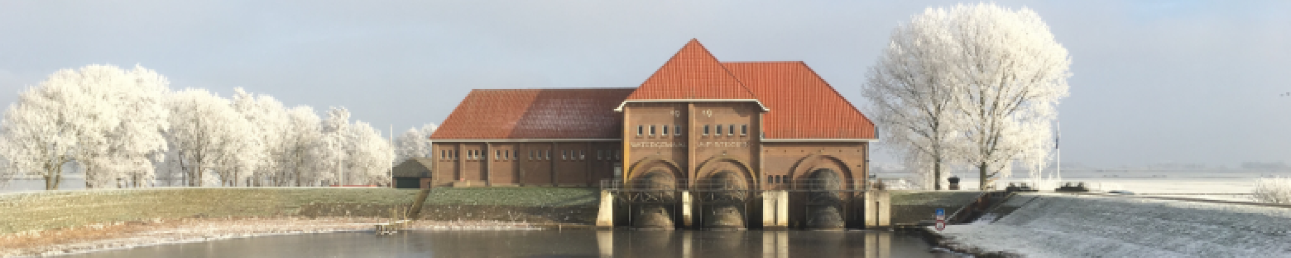 winter stroink