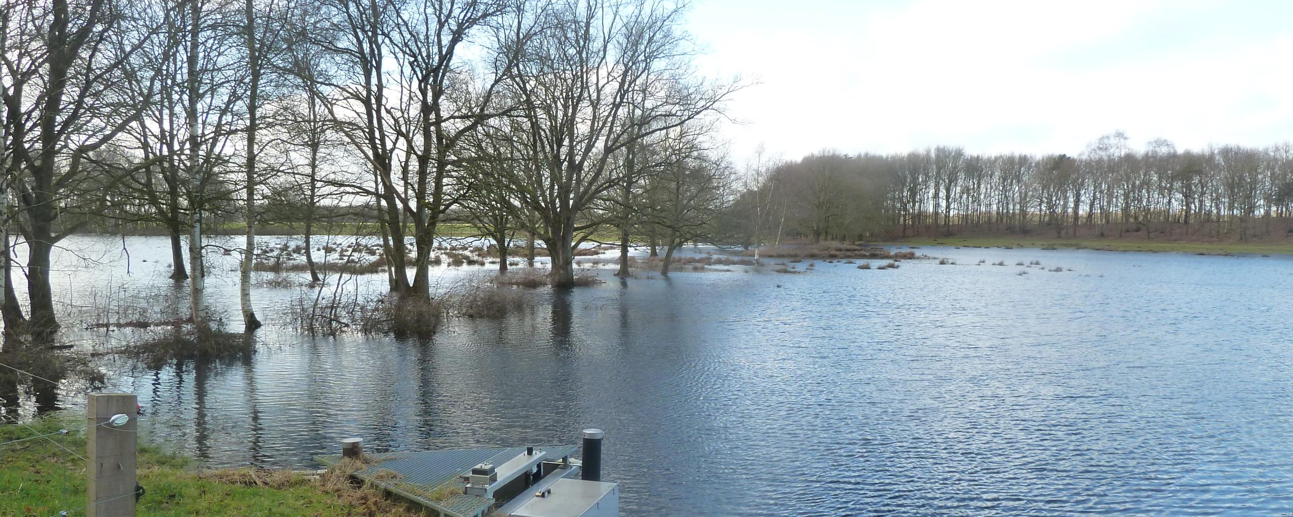 Dwingelderveld stuw en waterberging