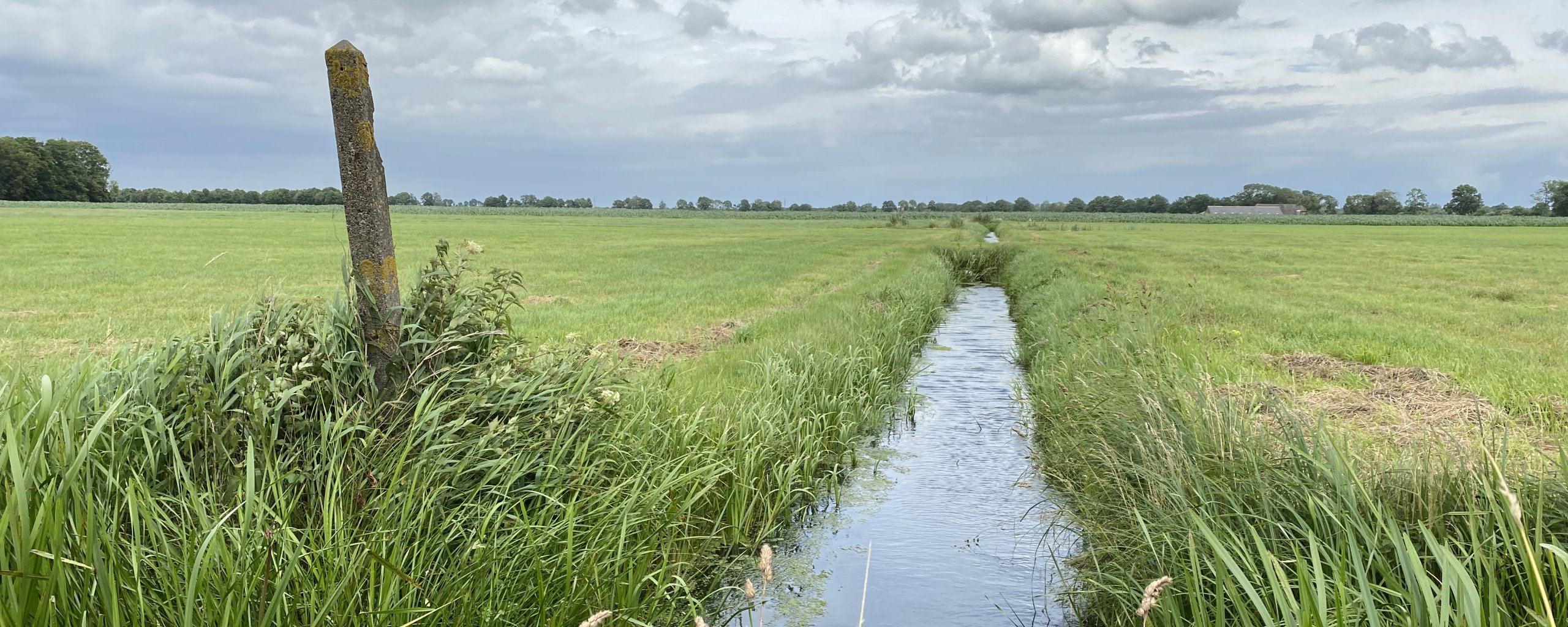 Nijeveen Kolderveen