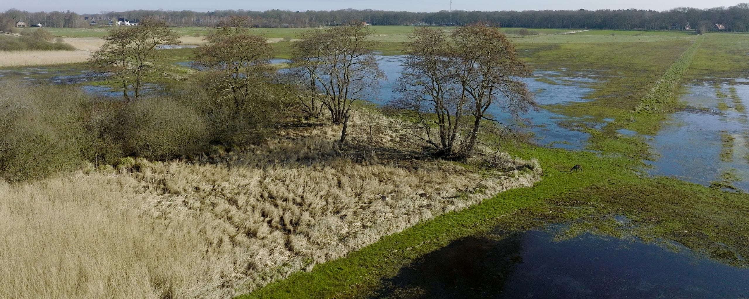 Drooggevallen stuw Vledder Aa