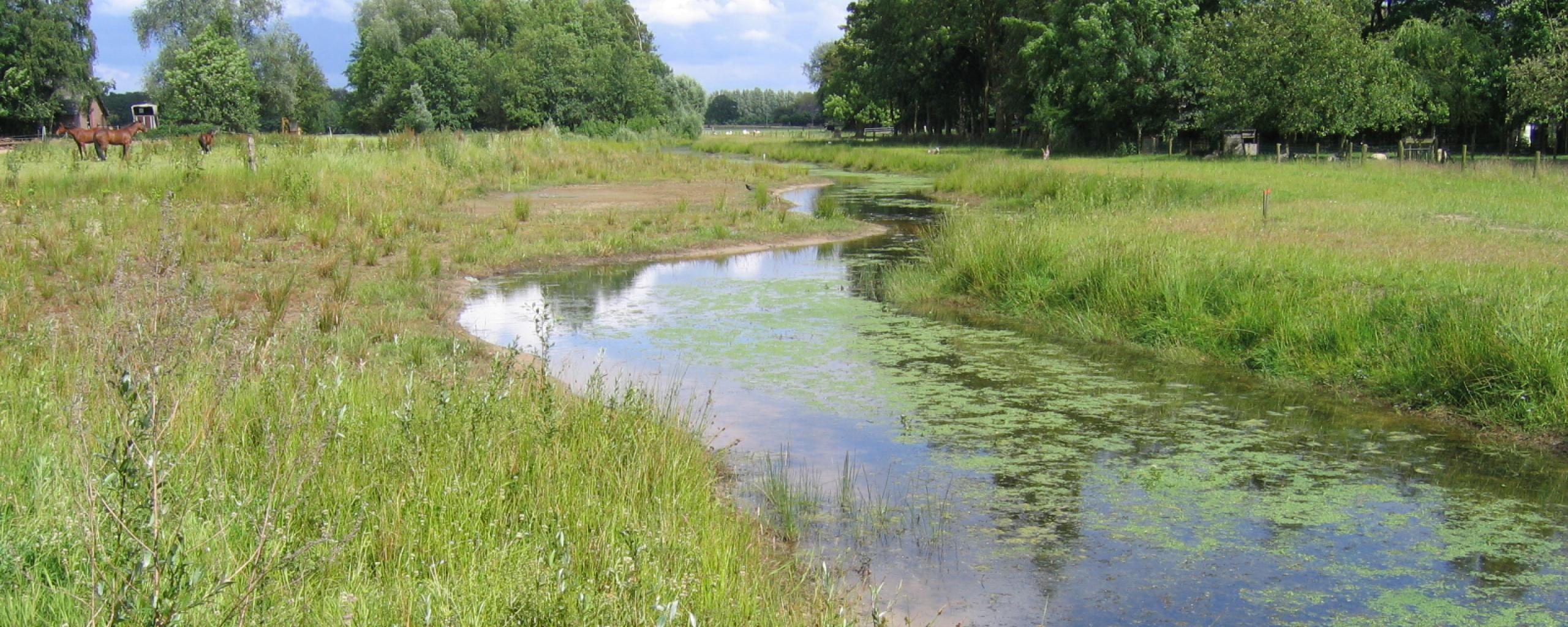 Herinrichting Spoortippe en Punthorst
