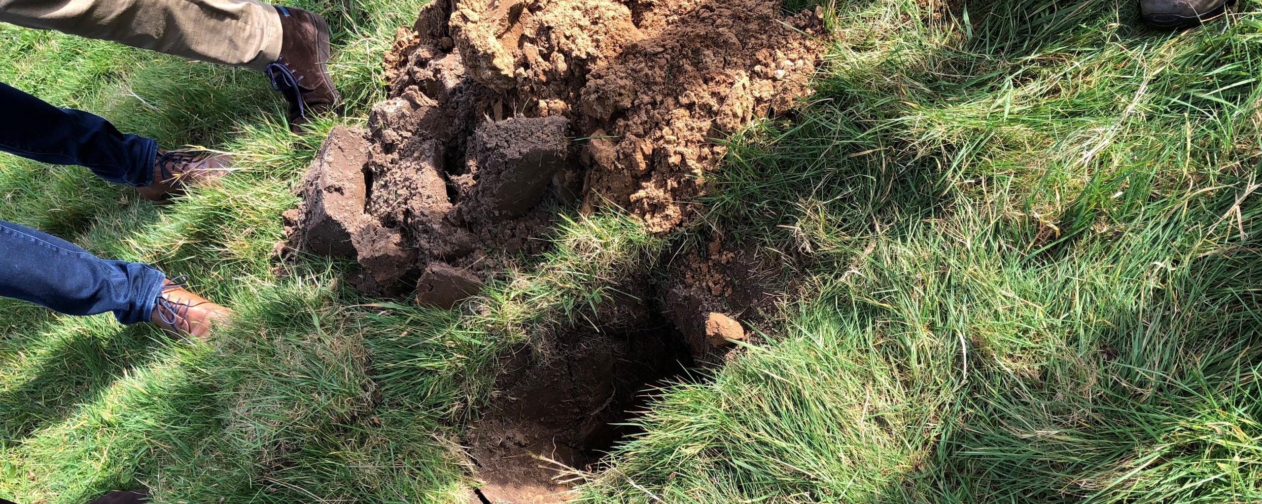 Vechtdijken gras op zand